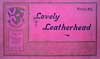 Book cover: Lovely Leatherhead