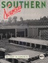 Book cover: Southern Nouveau